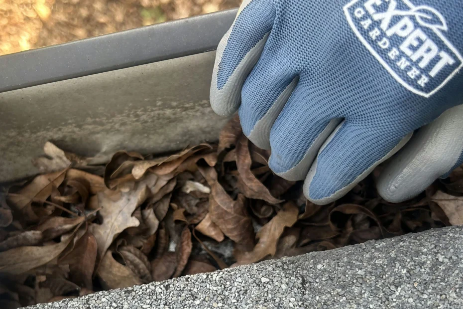 Gutter Cleaning Stallings