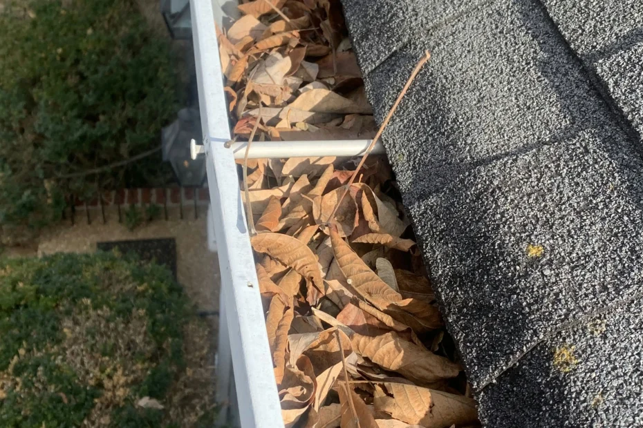 Gutter Cleaning Stallings